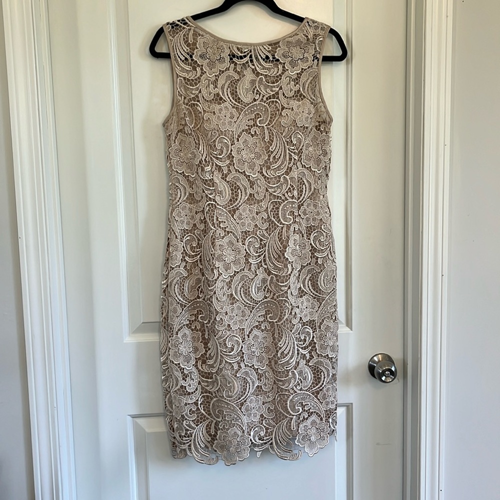 Adrianna Papell lace dress size 8